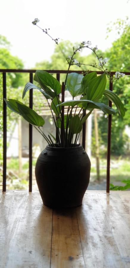 Tuyet'S Homestay ニンビン エクステリア 写真