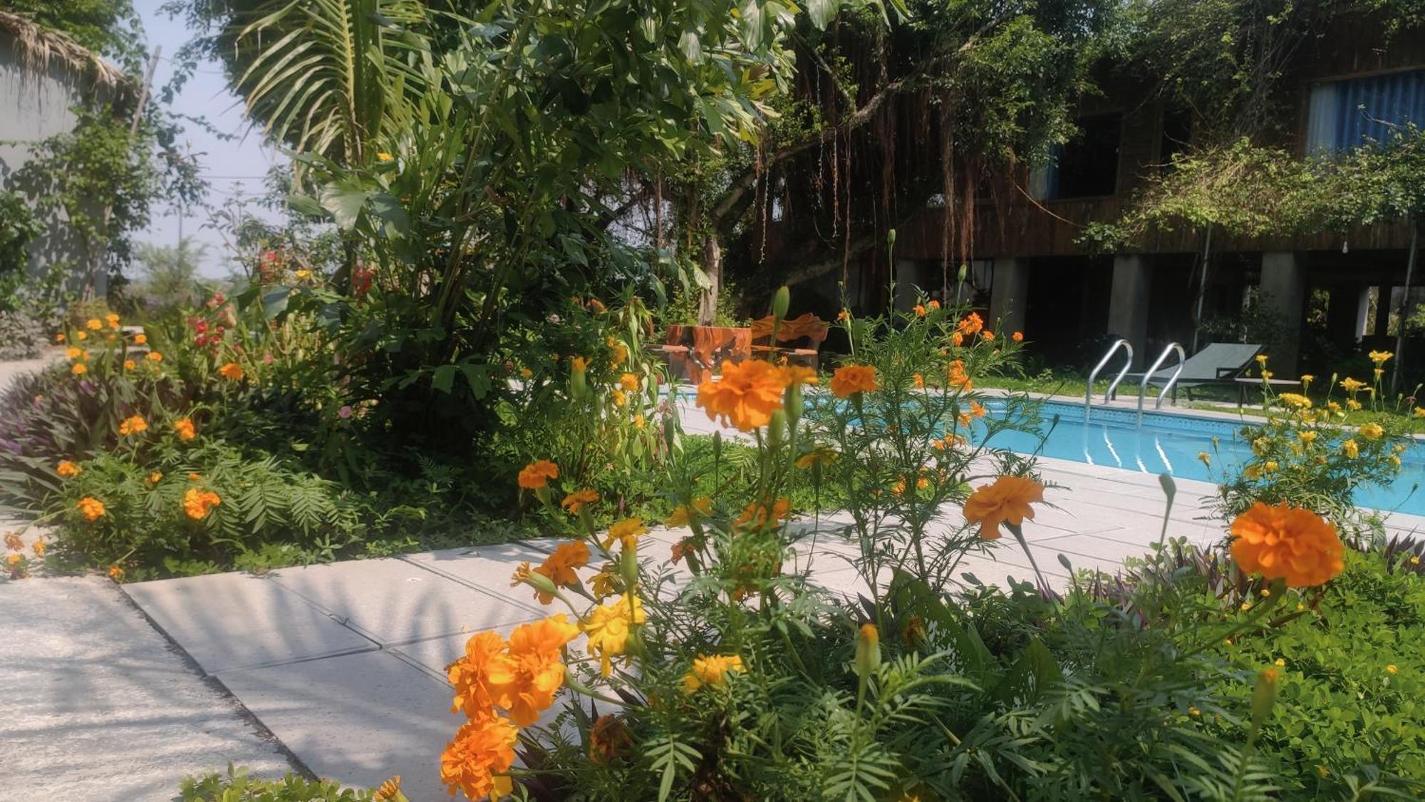 Tuyet'S Homestay ニンビン エクステリア 写真